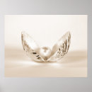 Search for seashell posters Pearl