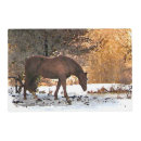 Search for winter placemats Horses