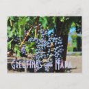 Search for napa valley postcards Grapes
