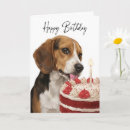 Search for beagle birthday cards Funny dog birthday