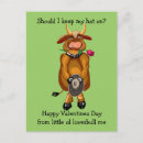 Search for nose rings Bull