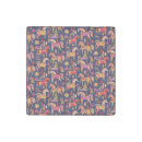 Search for decorative magnets Colorful
