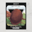 Search for vintage food postcards Garden