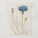 Search for vintage floral postcards Carte postale