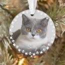 Search for cat in frame ornaments Heart