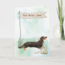 Search for dachshund get well cards Dog