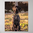 Search for gsp art Dog
