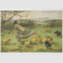 Search for easter tissue paper Cute