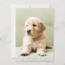 Search for puppy thank you cards Cute baby animal