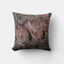Search for bunny nursery decor Baby animals