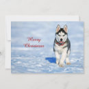 Search for siberian husky christmas cards Snow