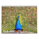 Search for peacock calendars Feathers
