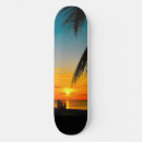 Search for beach skateboards Palm