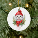 Search for maltese dog ornaments Merry christmas