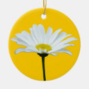 Search for daisy flower ornaments Wildflower