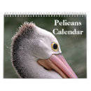 Search for pelican calendars Bird