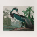 Search for louisiana puzzles Birds of america