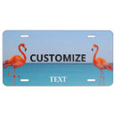 Search for flamingo license plates Tropical