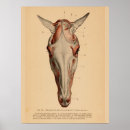 Search for vintage french posters Illustration