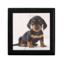 Search for dachshund gift boxes Animals