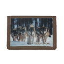 Search for wolf wallets Wildlife