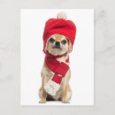 Search for chihuahua postcards christmas cards animal