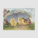 Search for easter tissue paper Blue