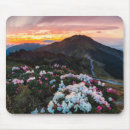 Search for national park mousepads Meadow