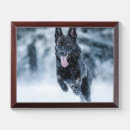 Search for dog awards Animal