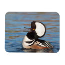 Search for 4 calling birds gifts Nature