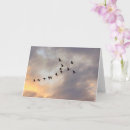 Search for for cancer patients get well cards Support