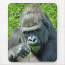 Search for gorilla mousepads Primates