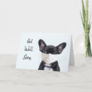 Search for dog wear cards pet