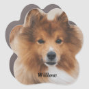 Search for dog car magnets Cute
