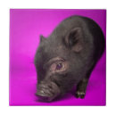 Search for pig tiles Black