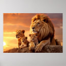 Search for lion posters Animal