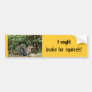 Search for i brake for squirrels bumper stickers Driving