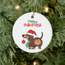 Search for dachshund ornaments Pet