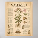 Search for infographic posters Vintage