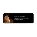 Search for horse labels Brown