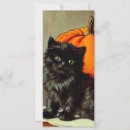 Search for cat halloween cards Pumpkins
