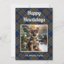 Search for funny animal christmas cards From the dog