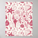 Search for seashell posters Scallop