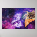 Search for space cat posters Meme