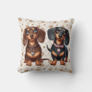 Search for dachshund pillows Colorful