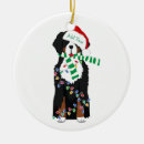 Search for bernese mountain dog ornaments Pet