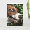 Search for funny dachshund birthday cards Puppy