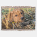 Search for labrador retriever blankets Animal