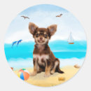 Search for chihuahua stickers Pet lover