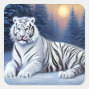 Search for tiger stickers Wildlife